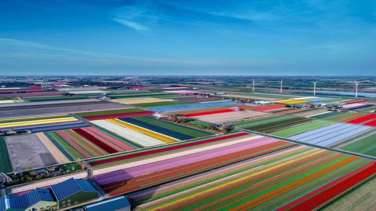 Marktstad Schagen